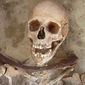  В Польше археологи исследовали могилы людей с серпами на шеях