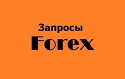 Названы самые необычные запросы о "форексе в России" 