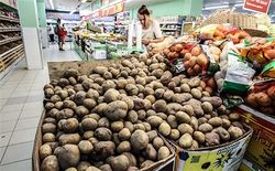 Разгонным блоком для инфляции в России стали цены на продукты питания