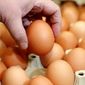 Правительство Беларуси разрешило поднять цены на некоторые продукты