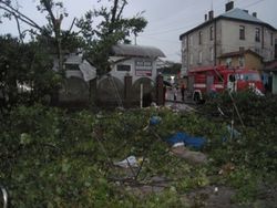 В Самборе под Львовом прошел ураган – последствия