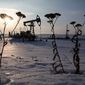 В России ожидают цены на нефть на уровне 40 долларов 