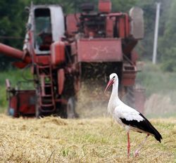 ЕБРР проведет инвестиционную программу для аграриев Украины