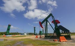 Правительство недооценивает риск низких цен на нефть – Счетная палата РФ