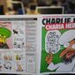 Полиция Франции ликвидировала террористов Charlie Hebdo