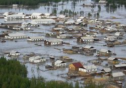 Ущерб от наводнения в Приамурье: только сои погибло на 20 млрд. рублей