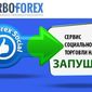 TurboForex запустил инновационный сервис социальной торговли на Форекс