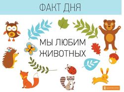 "Добрые админы" рассказали четыре неизвестных факта об Одноклассниках