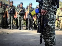 Украинская армия уничтожила 83 боевика - МО 