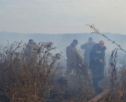 Киевляне могут подать в суд на владельцев земельных участков, где горит торф