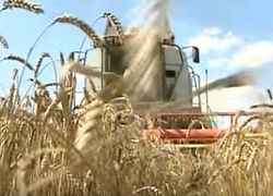 ЕС наращивает закупку украинской аграрной продукции
