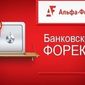 Компания «Альфа-Форекс» намерена перенести свой офис на Кипре