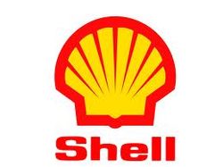 Концерн Shell будет работать в Украине – реакция рынка  