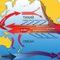Эль-Ниньо ведет себя необычно в этом году – ученые 
