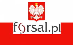 Forsal.pl: внутренние противоречия в РФ и будущее России 