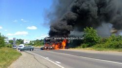 В событиях в Мукачево виноваты руководители государства – «Укроп»