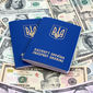 Сколько денег при себе нужно иметь украинцам при въезде в шенгенскую зону?