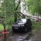 Ураган в Москве забрал жизни 11 людей
