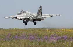 У боевиков появились самолеты, пограничники вылавливают пилотов из России