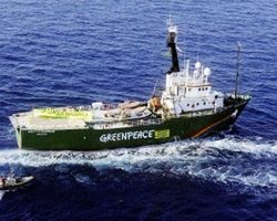 Россия не раз просила Нидерланды пресечь действия Arctic Sunrise 