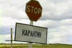 В Кыргызстане снят карантин по бубонной чуме