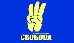 "Свобода" создаст большинство в президентской Украине, - нардеп Швайка