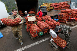 МЭР подняло прогноз продуктовой инфляции в РФ в 2014 году до 12-13 процентов