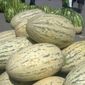 Узбекистан потратит 600 млн. долларов на производство продуктов питания в ближайшие пять лет