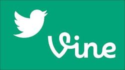 Приложение Vine стало официально доступным для Windows Phone  