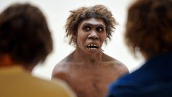 Наука до сих пор не определилась с предками homo sapiens