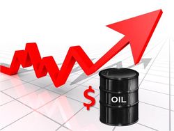 Цена нефти на годовом максимуме 102,43 доллара за баррель