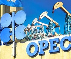 ОПЕК нужно приспосабливаться к конкуренции на мировом рынке нефти – Forbes