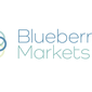 Брокер BLUEBERRY MARKETS выбрал технологию FXNAVIGATOR