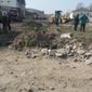 В Узбекистане повсеместно вырубают деревья