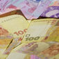 Доллар в обменниках подскочил до 25 гривен 