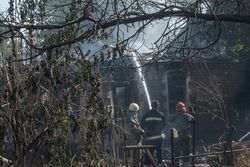 В ОБСЕ выразили обеспокоенность в связи со стрельбой в Донецке