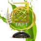 Началось голосование в рамках четвертой ежегодной премии IAFT Awards 