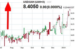 НБУ обвинил политиков в падении курса гривны на Forex