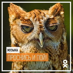 «Одноклассники» помогают своим пользователям проснуться с хорошим настроением