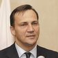 Польша призывает ЕС направить активы свиты Януковича на восстановление экономики Украины 