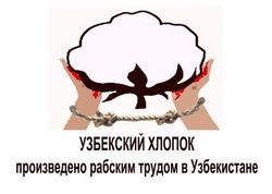 Узбекистан: главврач районной больницы уволен за принуждение к сбору хлопка