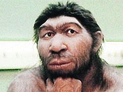 Человек пристрастился к алкоголю еще до того, как стал homo sapiens – ученые