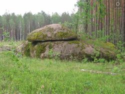 На Донетчине нашли культовые сооружения древней цивилизации