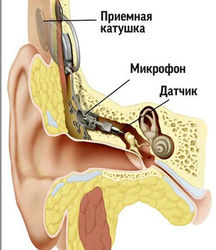 Великобритания