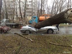 Ураган парализовал движение в Одессе. ТОП последствий стихии