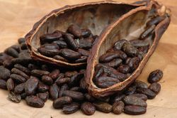 Мировой рынок ожидает дефицит какао-бобов