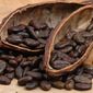 Мировой рынок ожидает дефицит какао-бобов