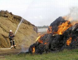 500 тонн сена сгорело в Восточном Казахстане