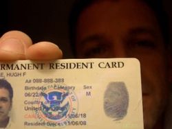 Сенаторы в США предлагают отменить лотерею Green Card – последствия