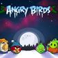 Авторы Angry Birds не злы на пиратов